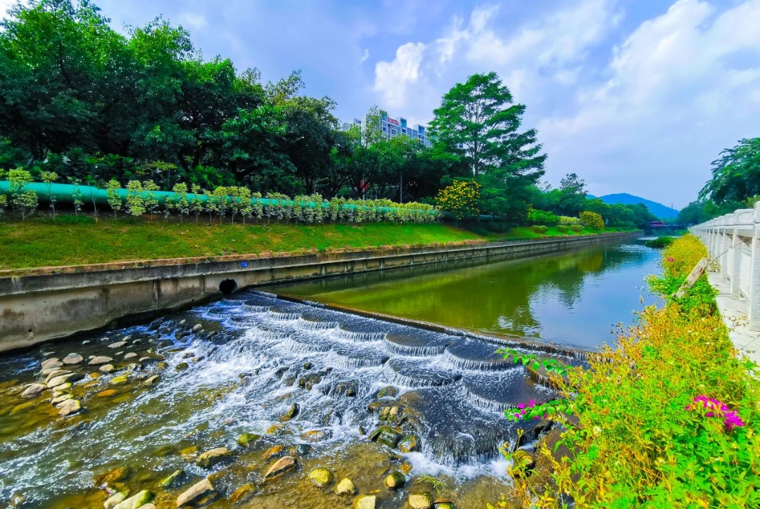 開創(chuàng)國內多個綠色金融領域創(chuàng)新 廣州強化大灣區(qū)綠色金融合作