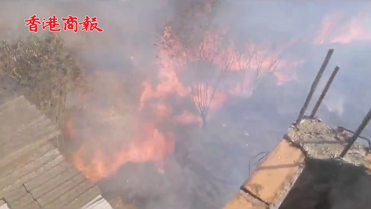 有片 | 哥倫比亞發(fā)生數(shù)百次火災(zāi) 官宣進入自然災(zāi)害狀態(tài) 