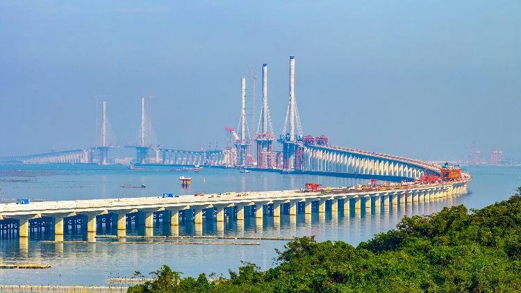 建設「數(shù)字灣區(qū)」 拓展「雙向奔赴」