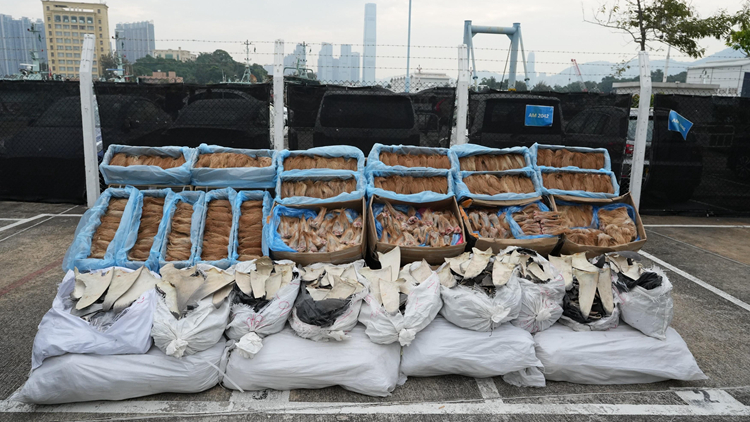 海關(guān)東涌偵破快艇走私案 檢值400萬(wàn)急凍鹿尾等走私貨物