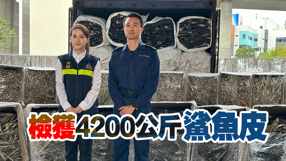 海關(guān)偵破非法進(jìn)口瀕危物種案 檢170萬(wàn)元鯊魚皮 拘1人