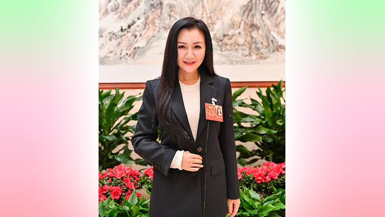 23條立法｜金玲：團(tuán)結(jié)一致促成就23條立法 只有國安才有港安家安