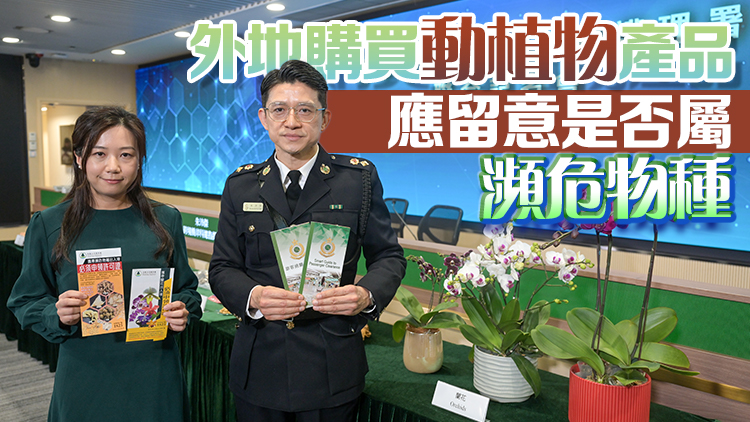 港人鐘意北上辦年貨 海關(guān)提醒勿誤帶違禁品及受管制物品入境