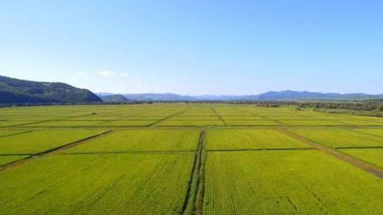 2024年中央一號文件中的惠農(nóng)「大禮包」 請查收！