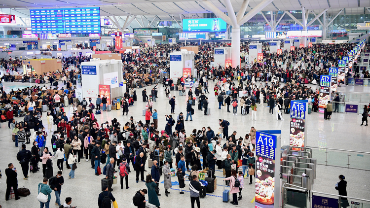 最新！深圳北站13趟列車停運(yùn) 涉武漢、鄭州等方向