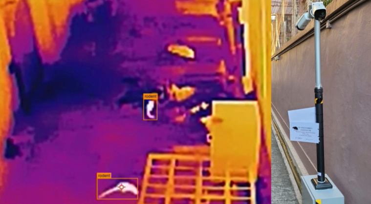 食環(huán)署：AI偵測老鼠活動成本高但成效佳 1月3區(qū)率先試行