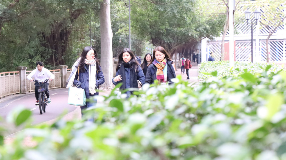 天文臺(tái)：本港明日早晚有薄霧 下周一起一連五日潮濕