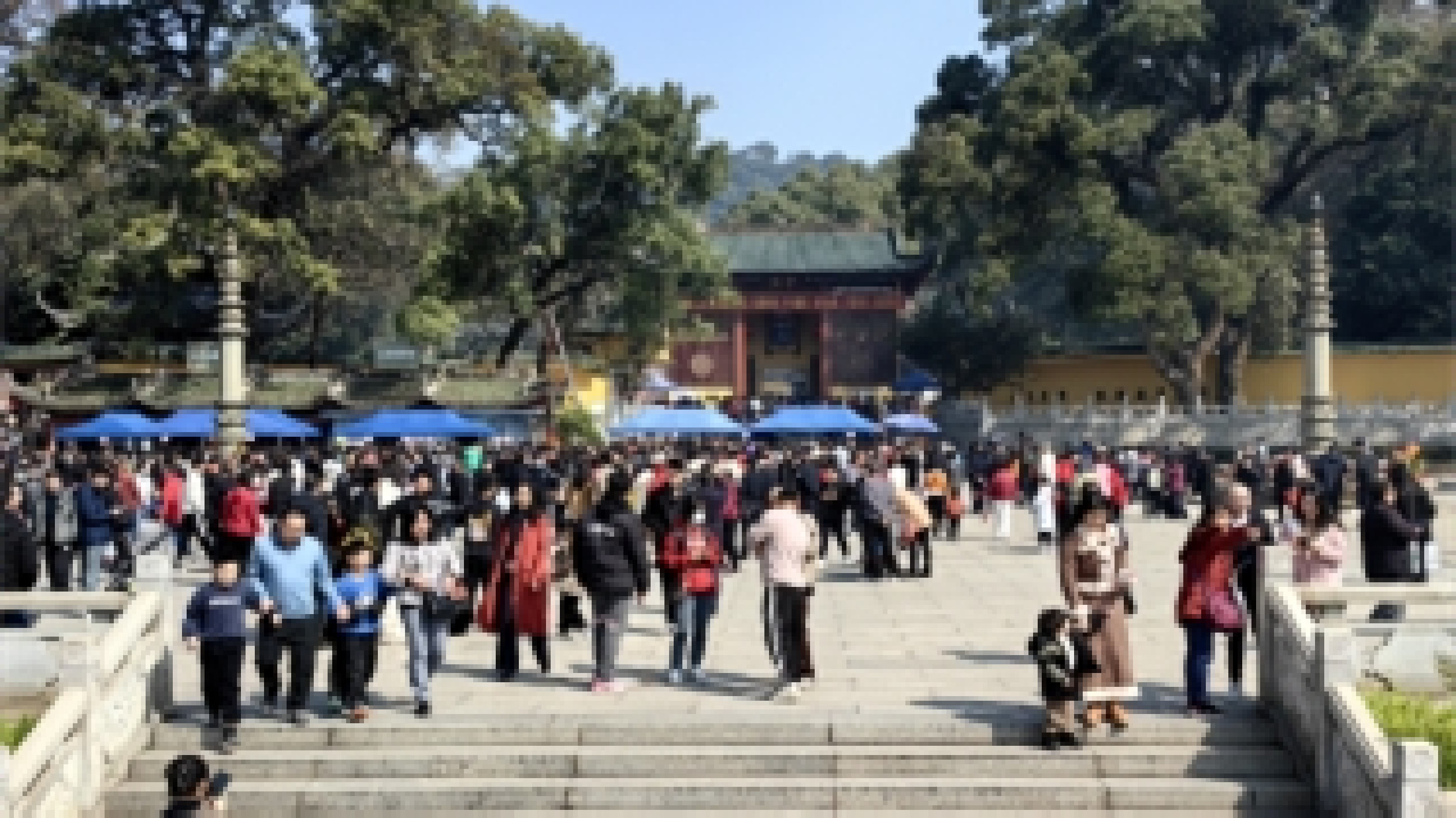 韶關(guān)曲江春節(jié)文旅市場(chǎng)創(chuàng)新高 旅遊收入同比增長(zhǎng)394.15%