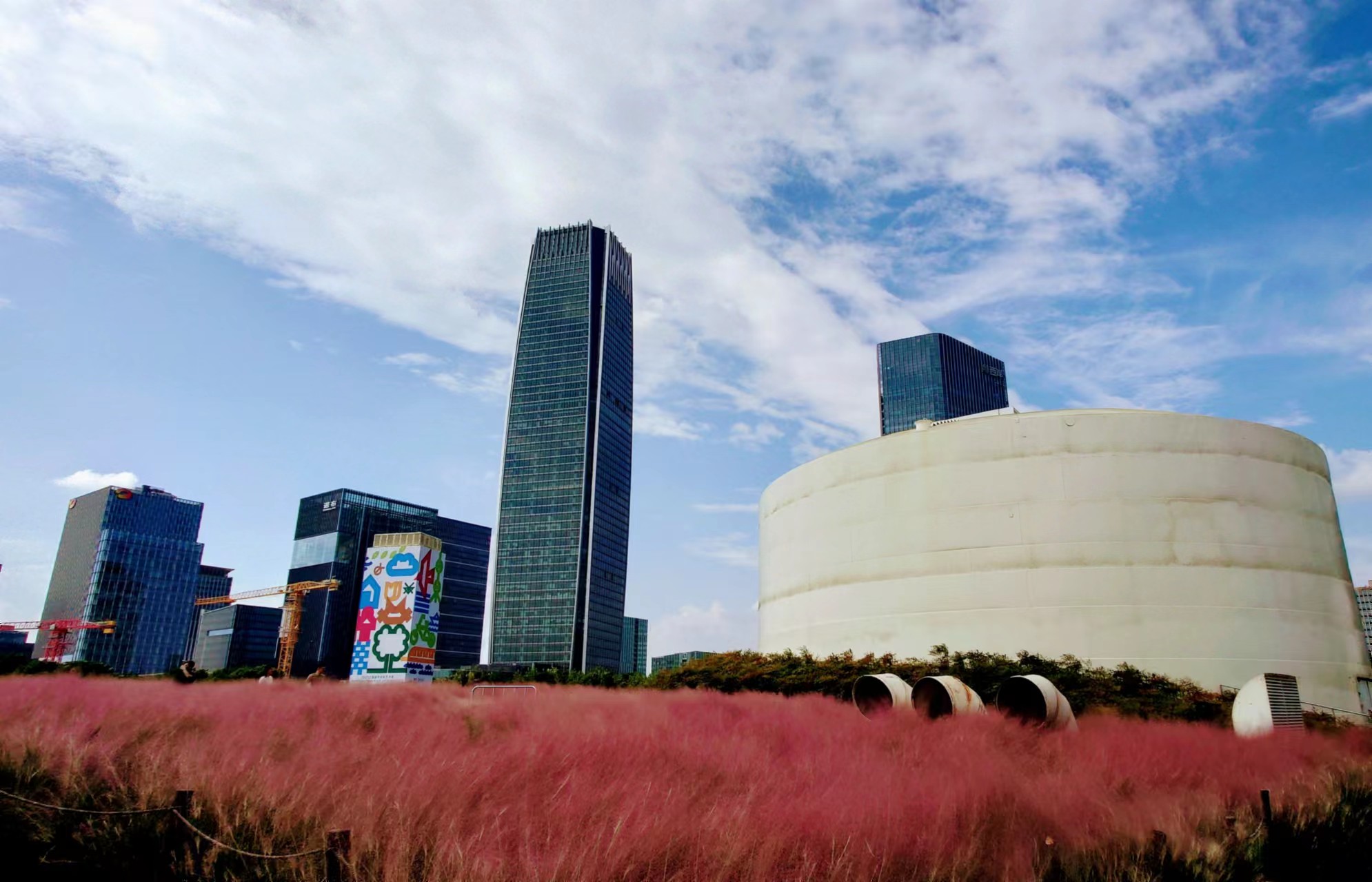 【魔都微評(píng)】出了事誰負(fù)責(zé)？