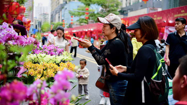 8天938萬人次！春節(jié)期間赴深人數(shù)同比增長79%