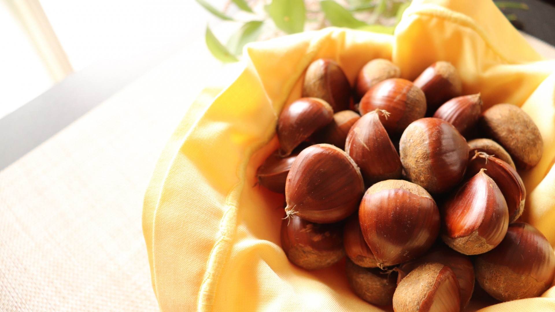 【飲食養(yǎng)生】栗子補腎健脾 中醫(yī)教你如何吃