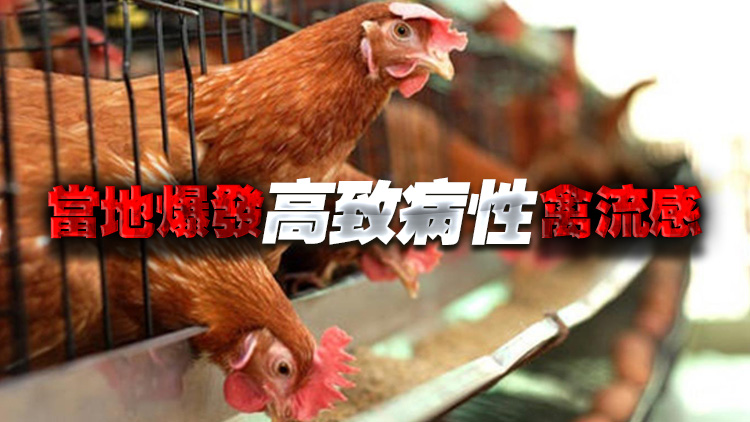 本港暫停進(jìn)口加拿大和波蘭部分地區(qū)禽肉及禽類產(chǎn)品