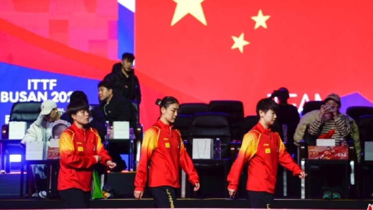 祝賀！國乒女隊釜山世乒賽女團冠軍