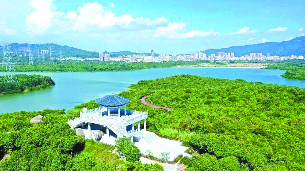 「西出陽關(guān)有故人」 走進石巖慢下來