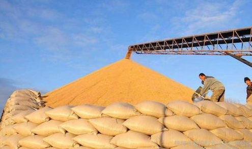 國家糧食和物資儲(chǔ)備局：中國糧食市場供應(yīng)充足