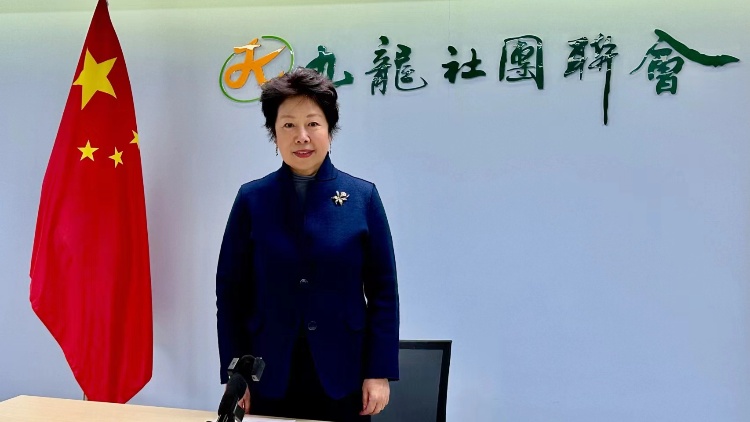 兩會前瞻｜徐莉：打造灣區(qū)銀髮經濟 提振香港文旅產業(yè)