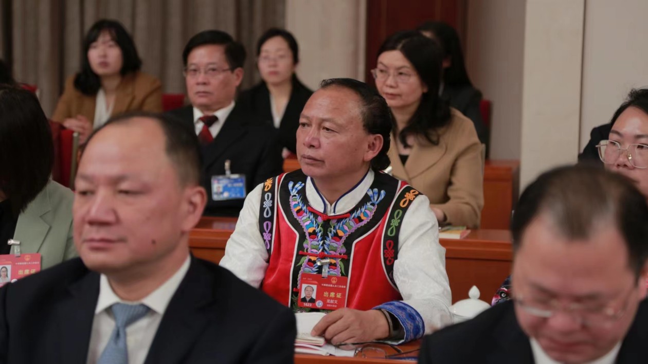 龍獻(xiàn)文代表：建設(shè)「湖南紅茶」產(chǎn)業(yè)集群，打造「五千工程」典範(fàn)