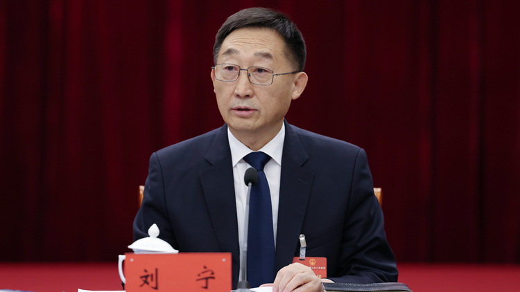 全國人大代表劉寧：廣西持續(xù)擴(kuò)大對內(nèi)對外開放 打造好「兩地」