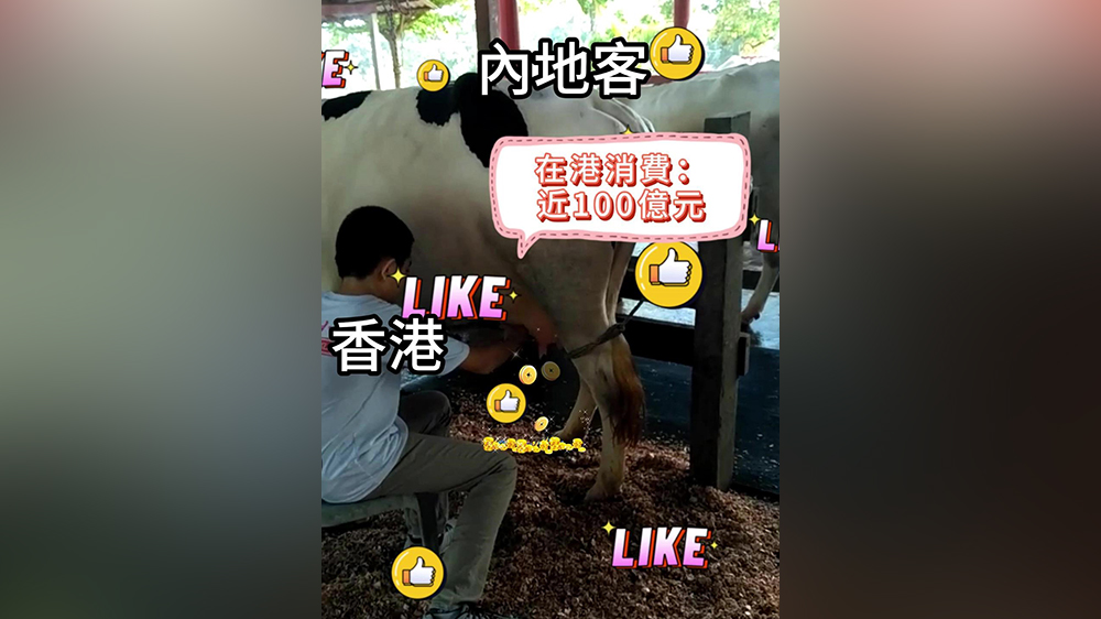 有片｜【短頻快評(píng)】?jī)?nèi)地客在港也是「現(xiàn)金奶?！? title=