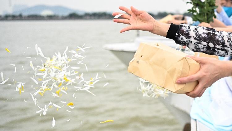 深圳公益海葬開啟報名 設(shè)1000-3000元生態(tài)葬獎勵