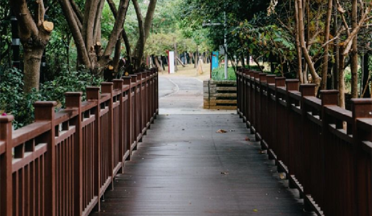 深圳IMAGE｜深圳「小西湖」，春光正爛漫