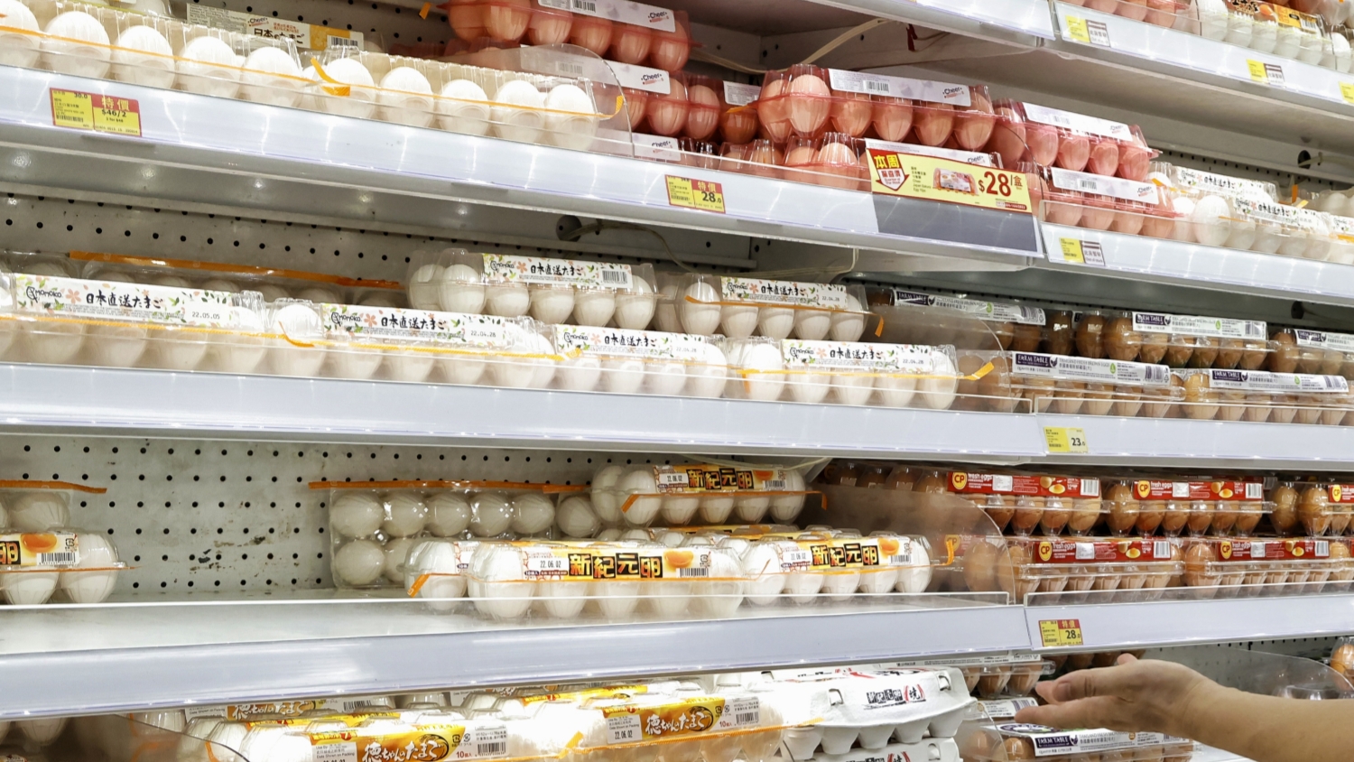 本港暫停進口日本廣島縣禽類產(chǎn)品