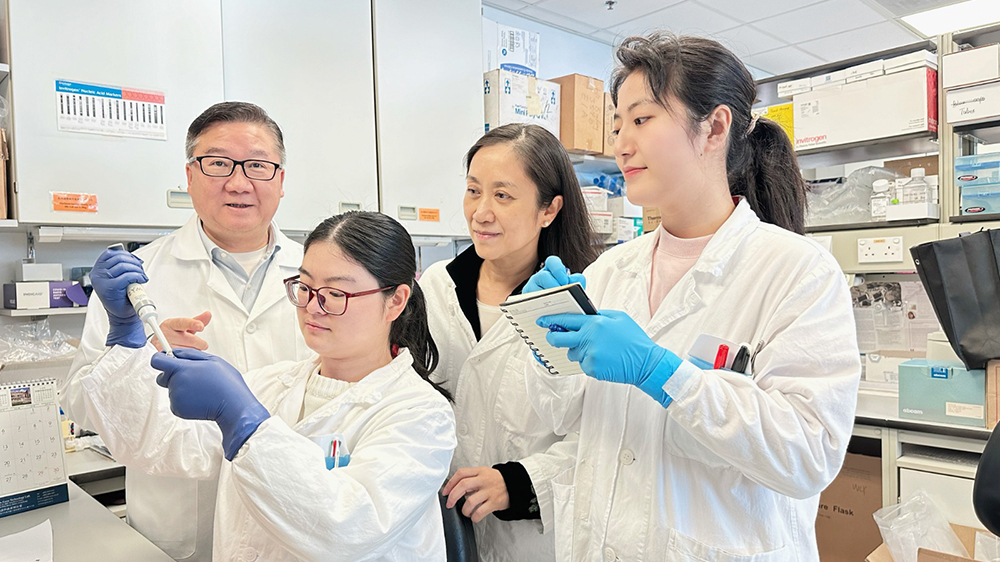 癌癥治療新突破：港大醫(yī)學(xué)院研製雙重抗腫瘤疫苗