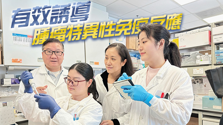 癌癥治療新突破：港大醫(yī)學院研製雙重抗腫瘤疫苗