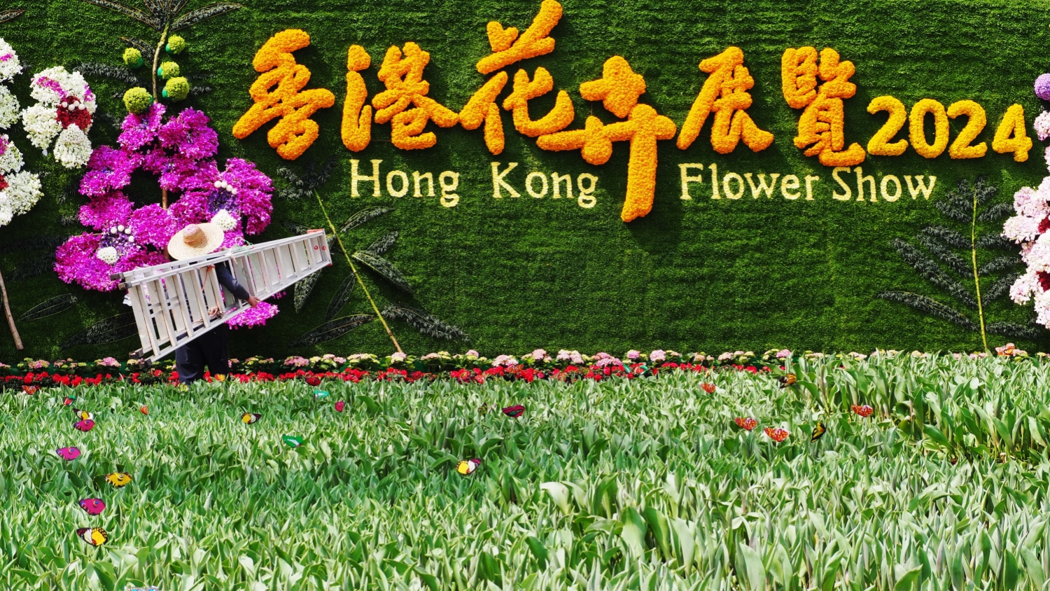 2024花卉展今起開幕 楊潤(rùn)雄：展區(qū)設(shè)計(jì)匠心獨(dú)運(yùn) 願(yuàn)花展碩果盈枝