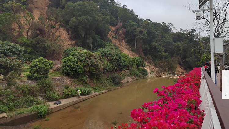 有片 | 記者再追蹤梧桐山水質(zhì)：正在清淤 水務(wù)局報告顯示水質(zhì)檢測達(dá)標(biāo)