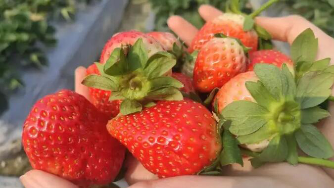 首批「灣區(qū)認(rèn)證」產(chǎn)品上市 消費(fèi)者如發(fā)現(xiàn)產(chǎn)品不符合承諾品質(zhì)要求可獲1萬元賠償金