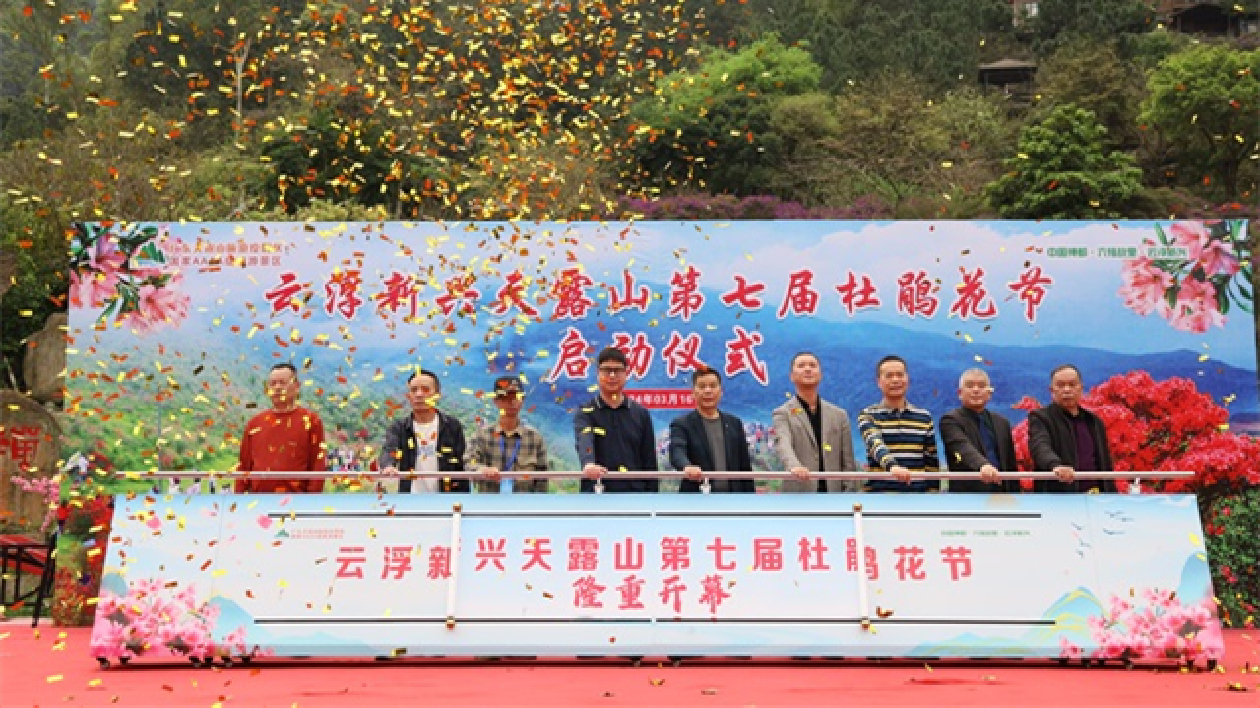 雲(yún)浮天露山近萬畝杜鵑花次第開放