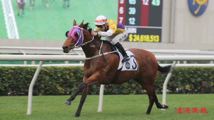 有片 | 樂滿貫勇奪鄉(xiāng)議局盃 昇瀧駒勝出評(píng)馬同業(yè)協(xié)會(huì)盃