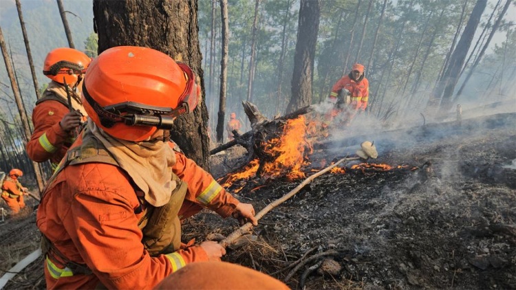 追蹤報(bào)道丨四川雅江森林火災(zāi)1號(hào)火場(chǎng)明火被撲滅