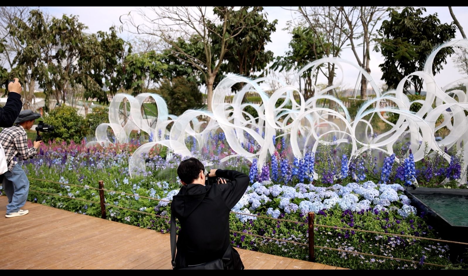 綠美灣區(qū)，詩(shī)意繁花丨2024粵港澳大灣區(qū)花展啟幕