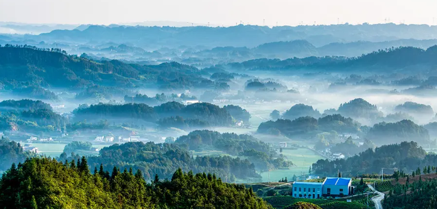 節(jié)氣專稿丨陳耀輝：清明