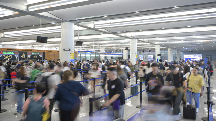 多項(xiàng)數(shù)據(jù)破紀(jì)錄 人才何以在灣區(qū)成潮？