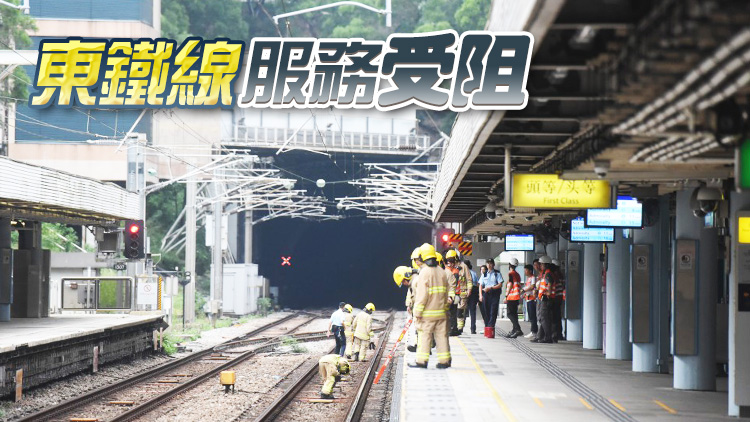 港鐵九龍?zhí)琳居腥藟欆?東鐵線(xiàn)來(lái)往旺角東至大圍站服務(wù)受阻