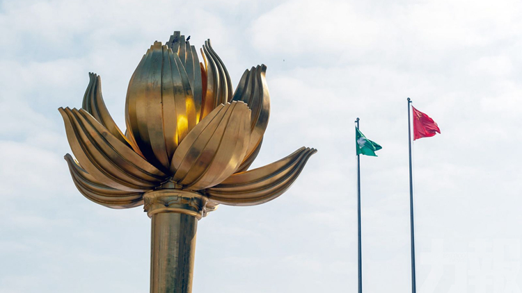 澳門特區(qū)行政長(zhǎng)官選舉委員會(huì)委員選舉將於8月11日舉行