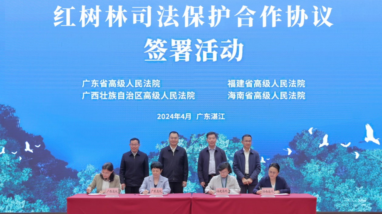 實(shí)施跨區(qū)域司法協(xié)作 粵閩桂瓊四省共建紅樹林司法保護(hù)新機(jī)制