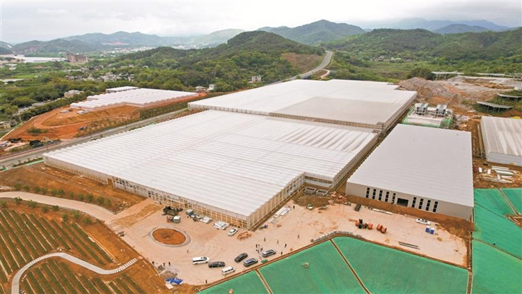 產(chǎn)業(yè)融合促發(fā)展 譜寫深梅合作新篇章