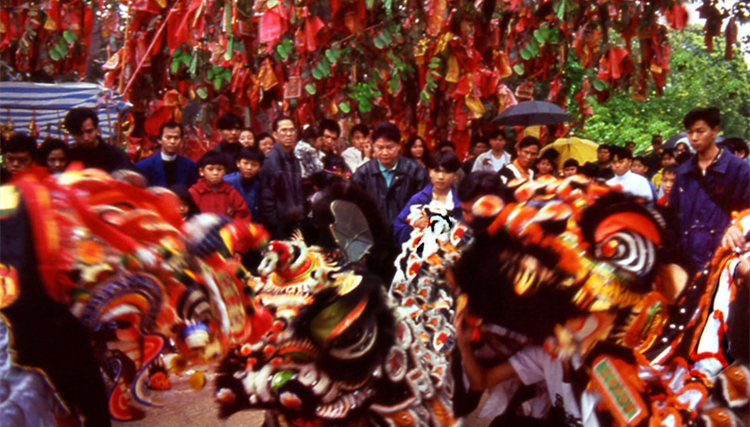 願(yuàn)樹寶牒 拋的願(yuàn)望