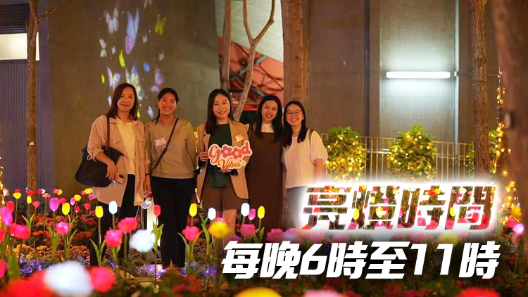 設(shè)逾8000枝彩色LED花 東區(qū)文化廣場最新打卡地標開幕