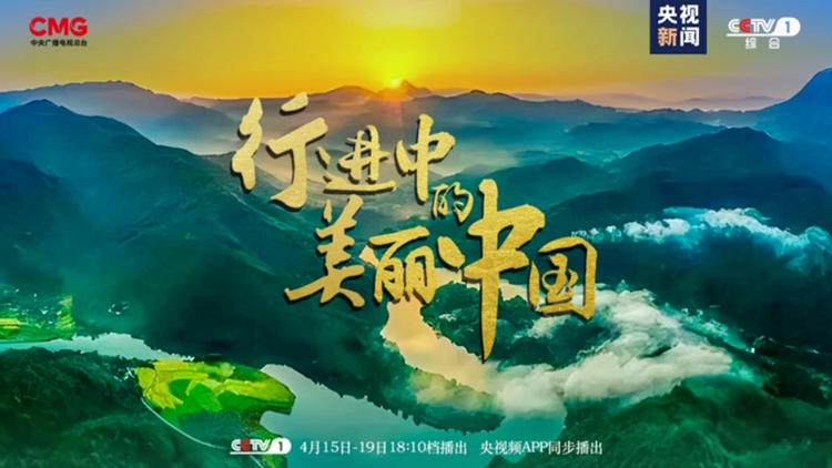 《行進(jìn)中的美麗中國(guó)》講述深圳社區(qū)降碳故事