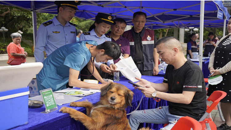 引導(dǎo)市民科學(xué)養(yǎng)寵 「人病獸防 共享健康」主題宣傳活動舉行