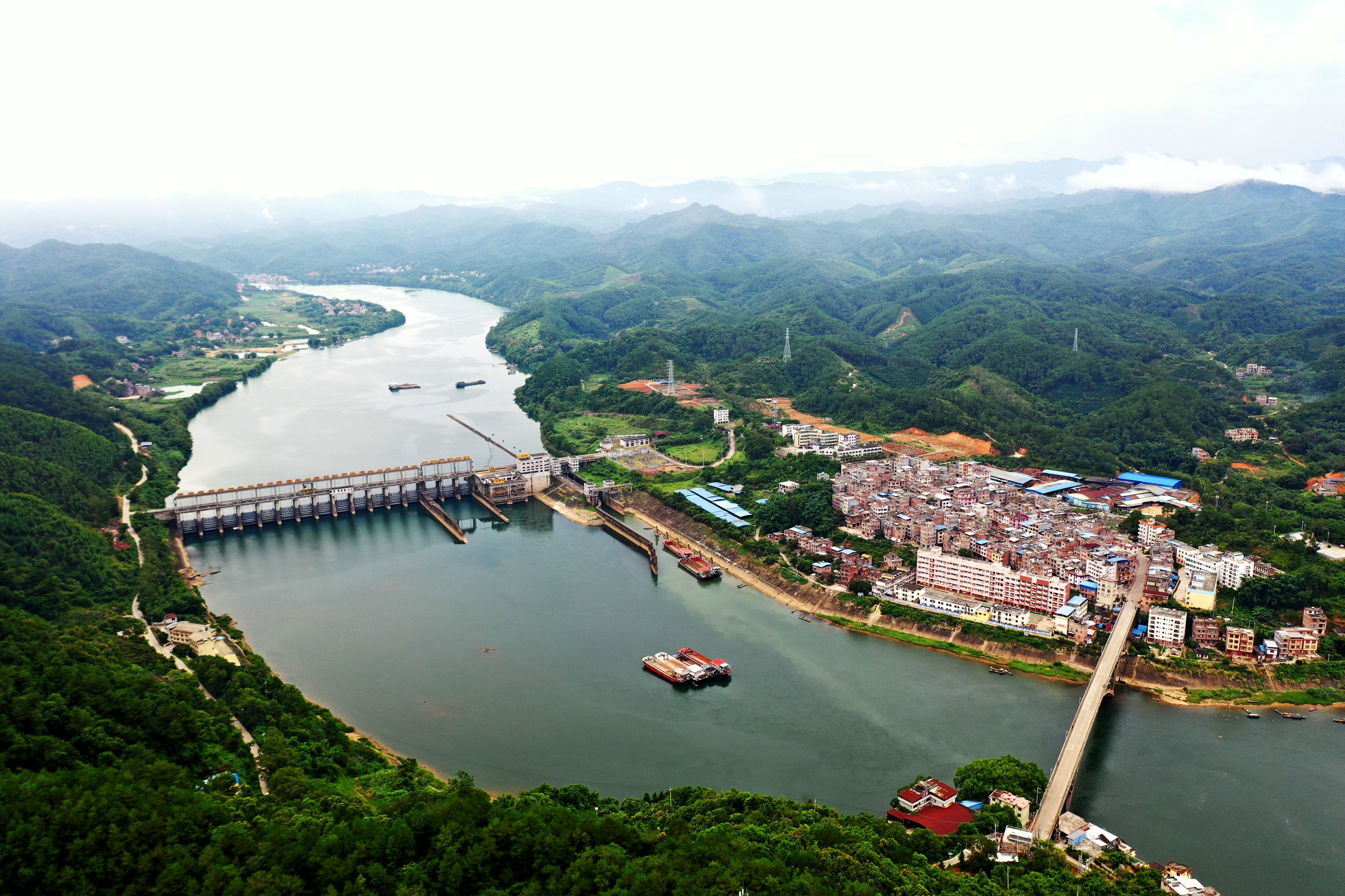 廣西京南鎮(zhèn)創(chuàng)新構造「1+1+1+N」機制賦能鄉(xiāng)村振興