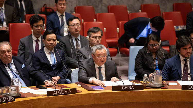 美一票否決巴勒斯坦入聯(lián)申請(qǐng) 中方：對(duì)美國(guó)決定十分失望 將繼續(xù)發(fā)揮建設(shè)性作用