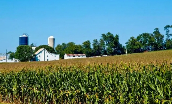 如何看待自美農(nóng)產(chǎn)品採購量下降？農(nóng)業(yè)農(nóng)村部回應(yīng)