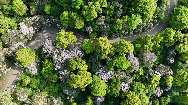 春季出遊持續(xù)升溫 各類風(fēng)險注意規(guī)避