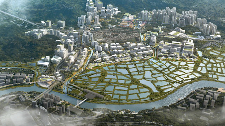 四大商會罕見發(fā)布聯(lián)合聲明：大力支持新田科技城規(guī)劃 籲早日上馬